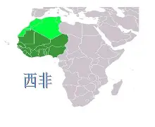 西非劲旅突破重围，勇夺银牌光宗耀祖